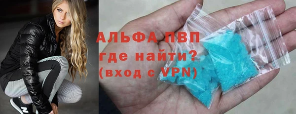 прущие грибы Корсаков