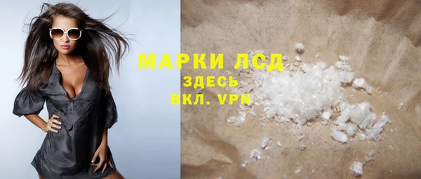 прущие грибы Корсаков