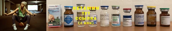прущие грибы Корсаков