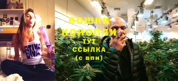 ПСИЛОЦИБИНОВЫЕ ГРИБЫ Коряжма