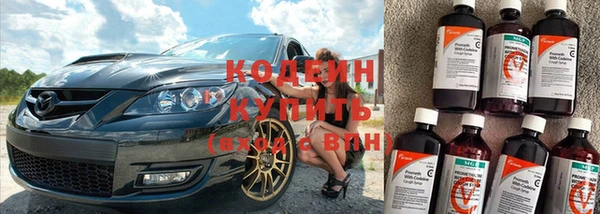 прущие грибы Корсаков