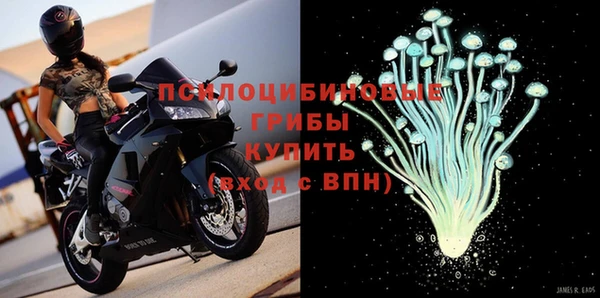 прущие грибы Корсаков