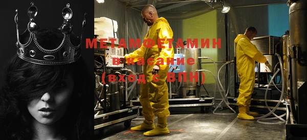 прущие грибы Корсаков