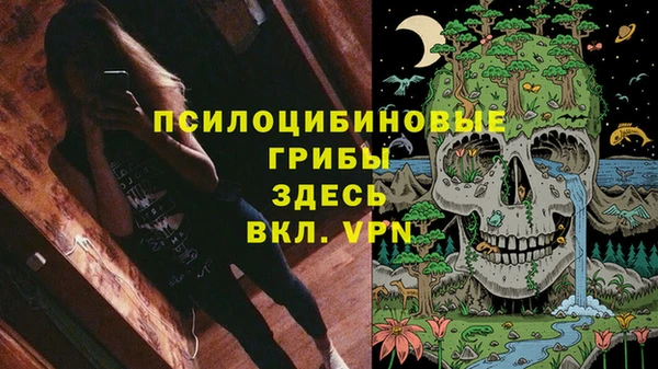 ПСИЛОЦИБИНОВЫЕ ГРИБЫ Коряжма