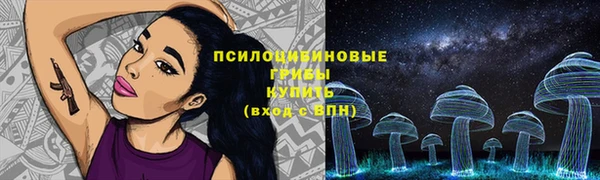 ПСИЛОЦИБИНОВЫЕ ГРИБЫ Коряжма